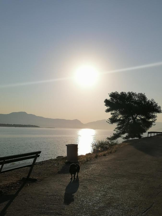 Apartmani Barnjak Traù Esterno foto